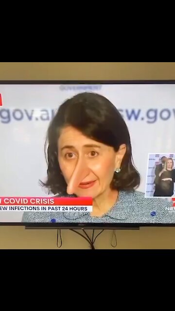 Pinocchio politicians