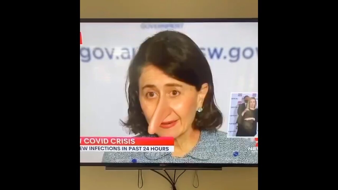 Pinocchio politicians