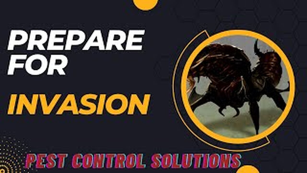 The Best Natural Pest Control || Watch This Video On How To Defend Your Home From Pests!