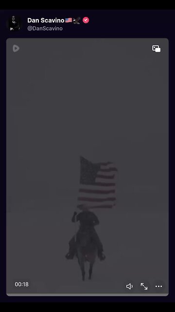 I pledge allegiance to the flag. 🇺🇸🇺🇸🇺🇸