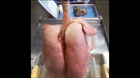 The dead 💀 in the Ukraine 🇺🇦 are being sliced and diced for their organs