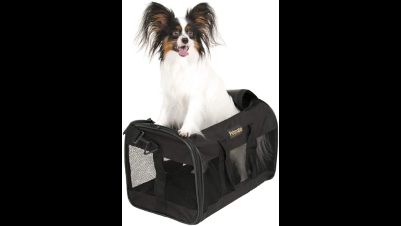 Petmate Soft-Sided Kennel Cab Pet Carrier