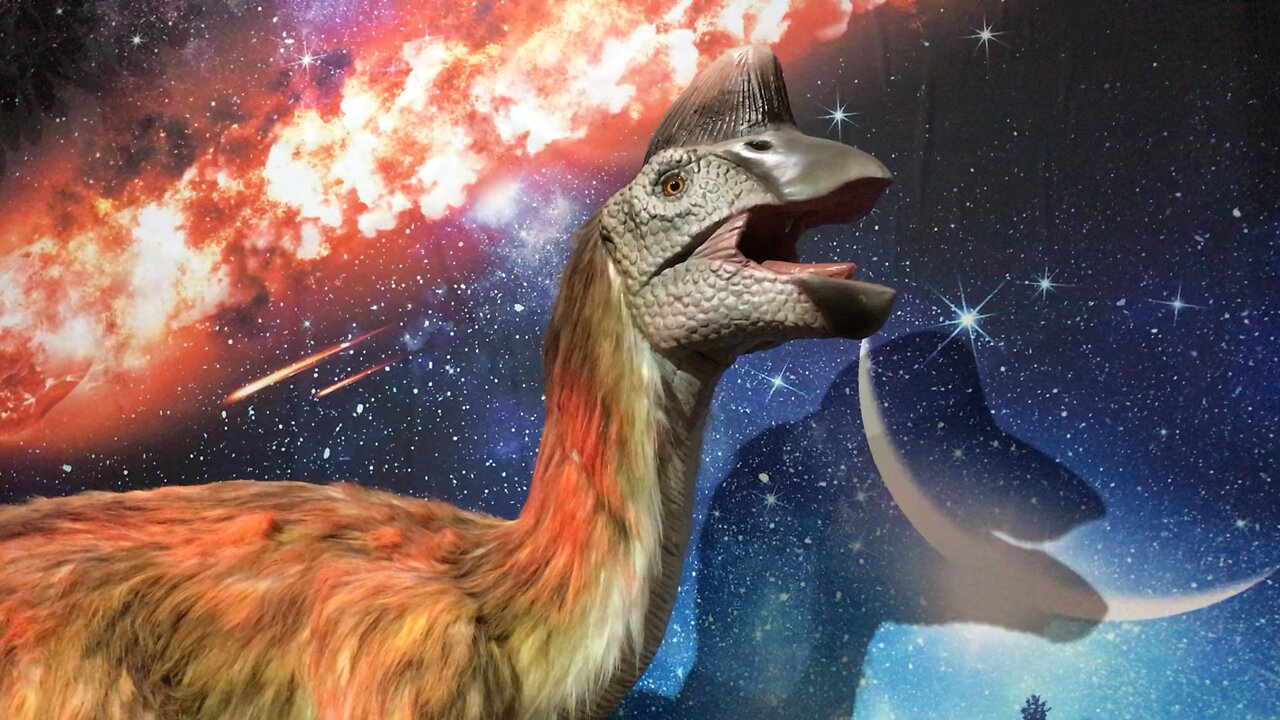 Don’t steal the Dinosaur egg!