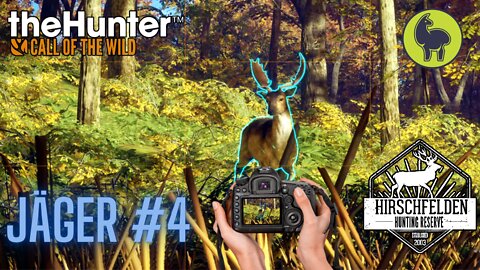 The Hunter: Call of the Wild, Jäger #4 Hirschfelden (PS5 4K)