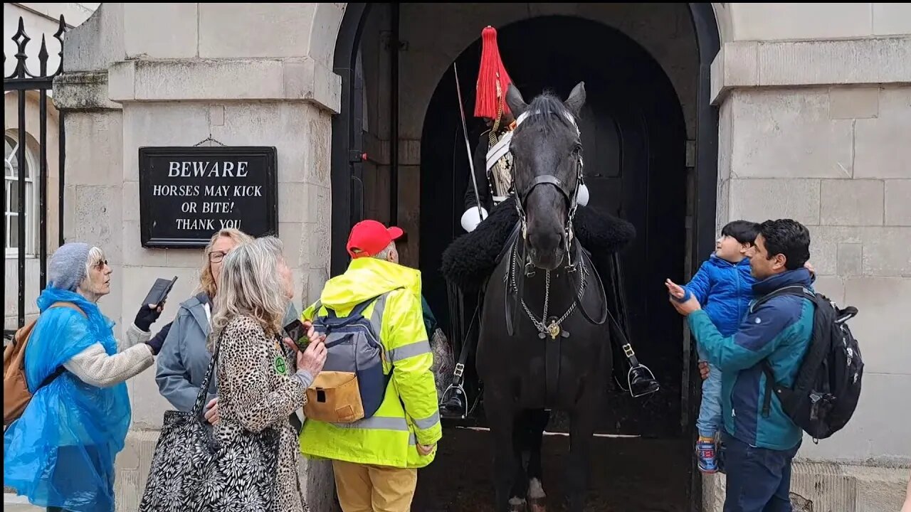 Stand clear of the box the kings guard shouts at tourist #horseguardsparade