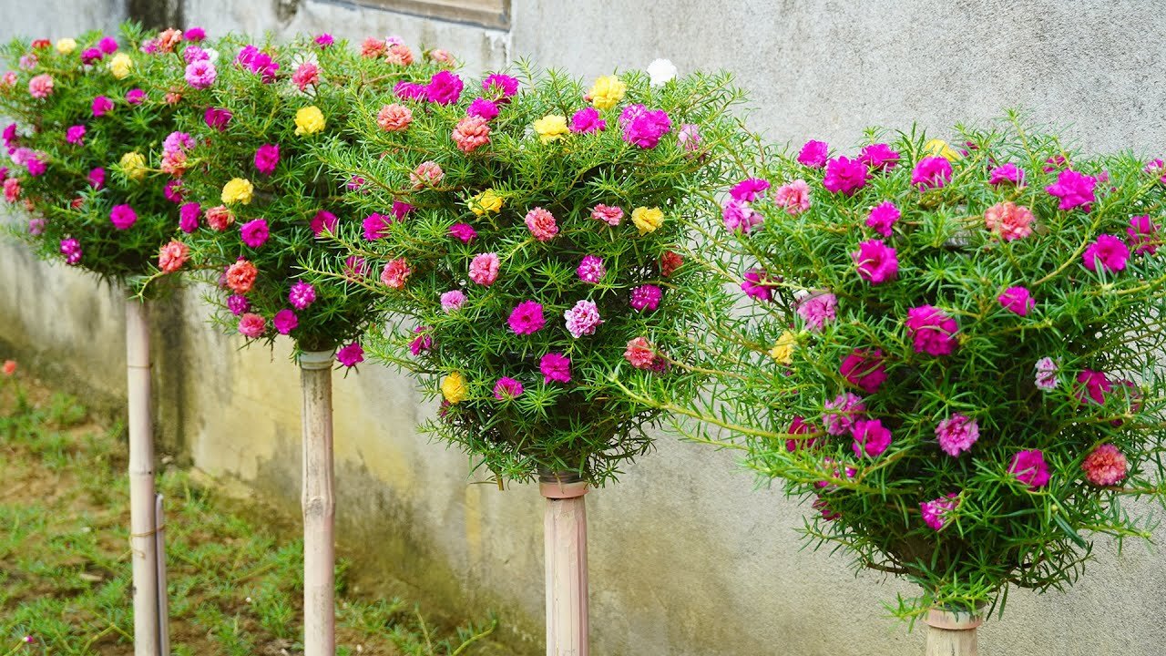 How To Make A Great Vertical Garden For A Small Garden With Plastic Bottles.