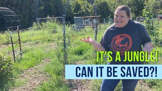 Fall Garden Rehab