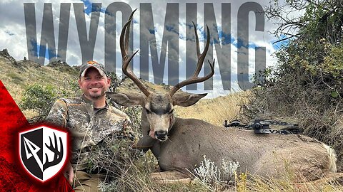 Chasing Mule Deer in Wyoming