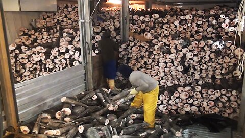 Amazing Antarctic Toothfish Fishing - Chilean Sea Bass Catch By Modern Vessel - Toothfish Processing