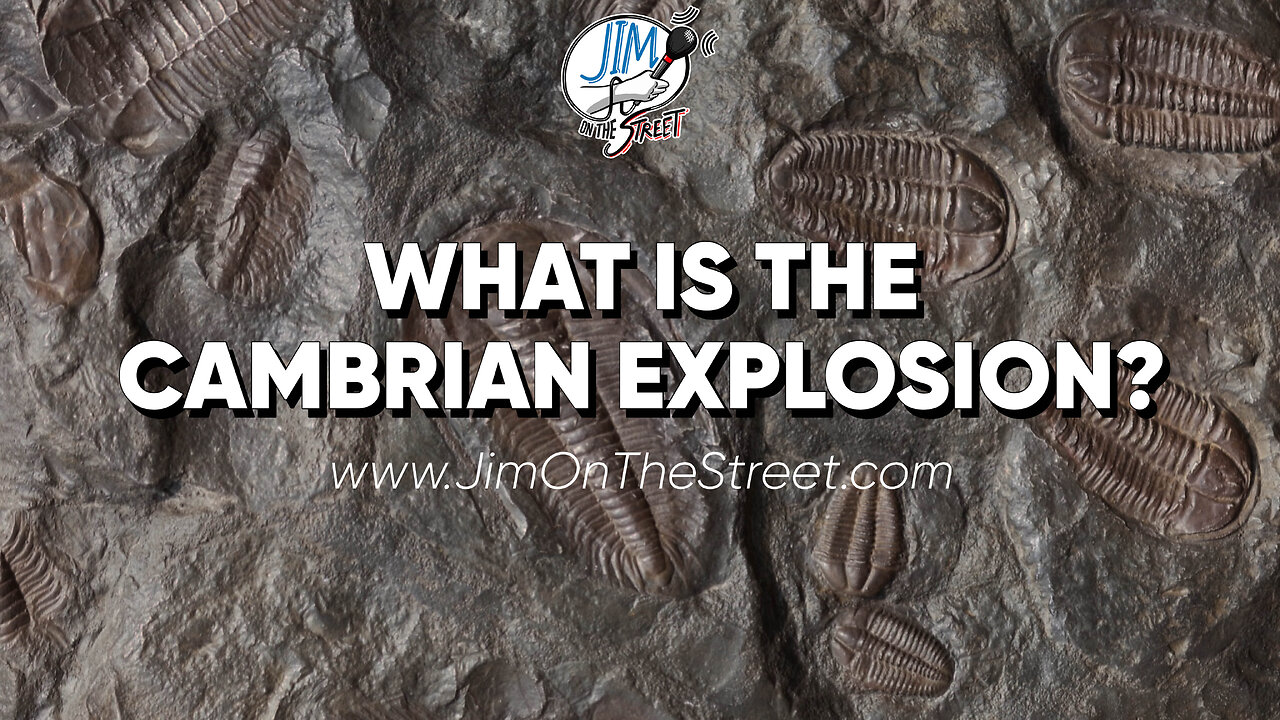 What is the Cambrian Explosion?