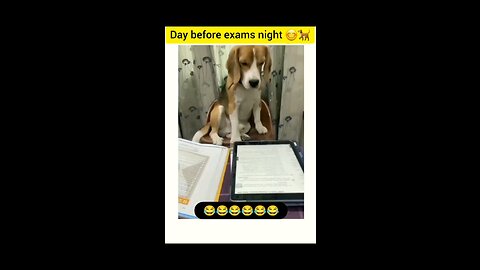 day_before_Exams_night_#🤣🤣🤣🤣