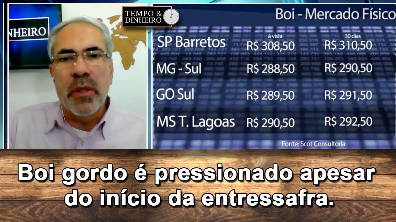 Boi gordo é pressionado apesar do início da entressafra.