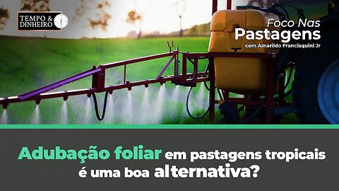 Adubação foliar em pastagens tropicais é uma boa alternativa? Foco nas Pastagens responde