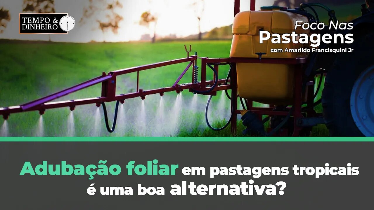 Adubação foliar em pastagens tropicais é uma boa alternativa? Foco nas Pastagens responde
