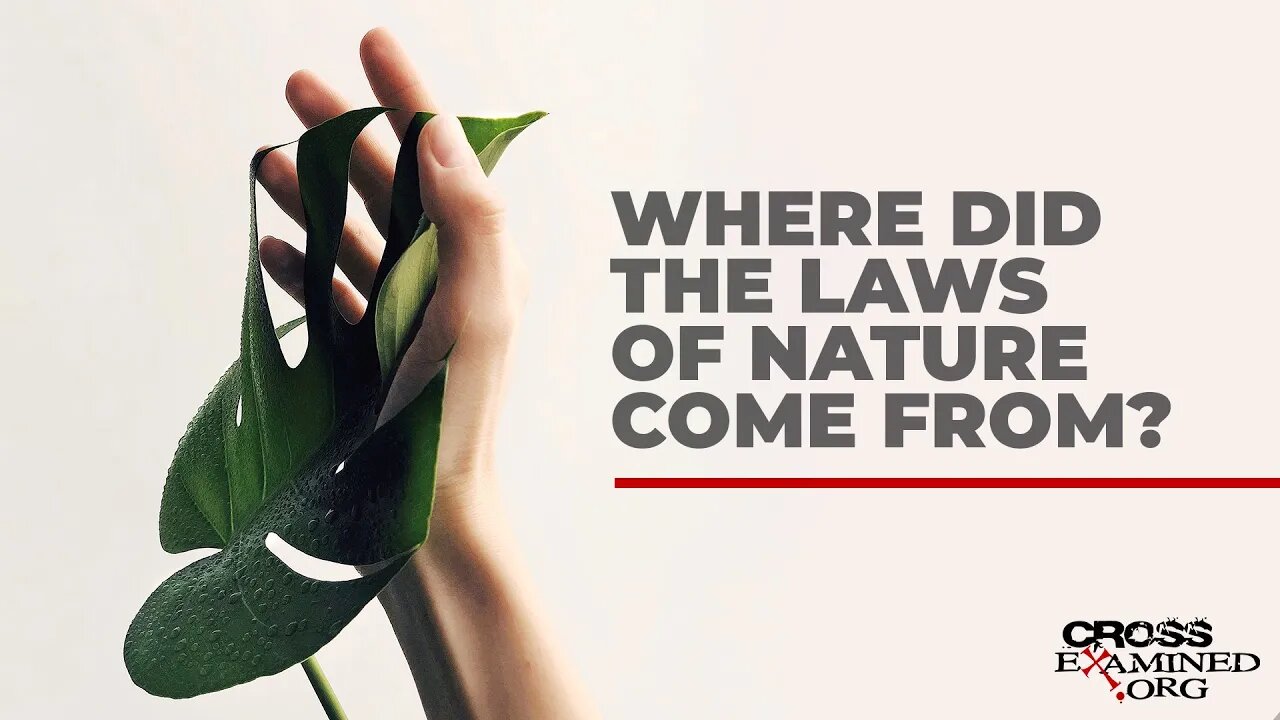 Where did the laws of nature come from?