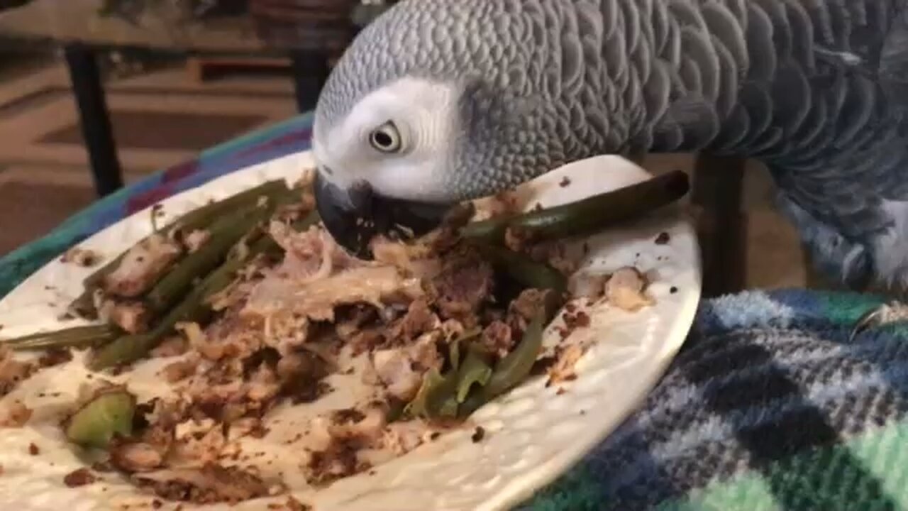 Dining with Rosa