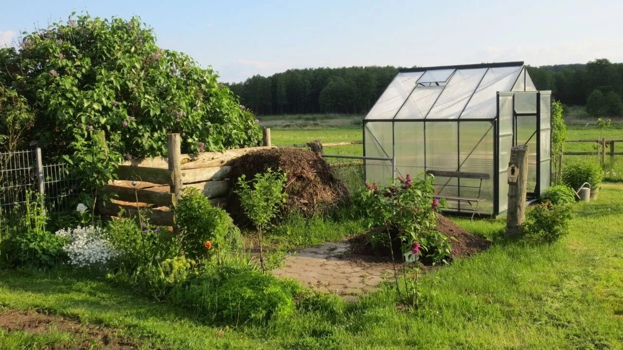 Top Tips For Greenhouse Growing | Everything You need To Start