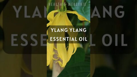 The Inherent Power of Ylang Ylang Essential Oil || Healthie Wealthie || #shorts || #health