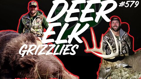 Deer Elk & Grizzlies!