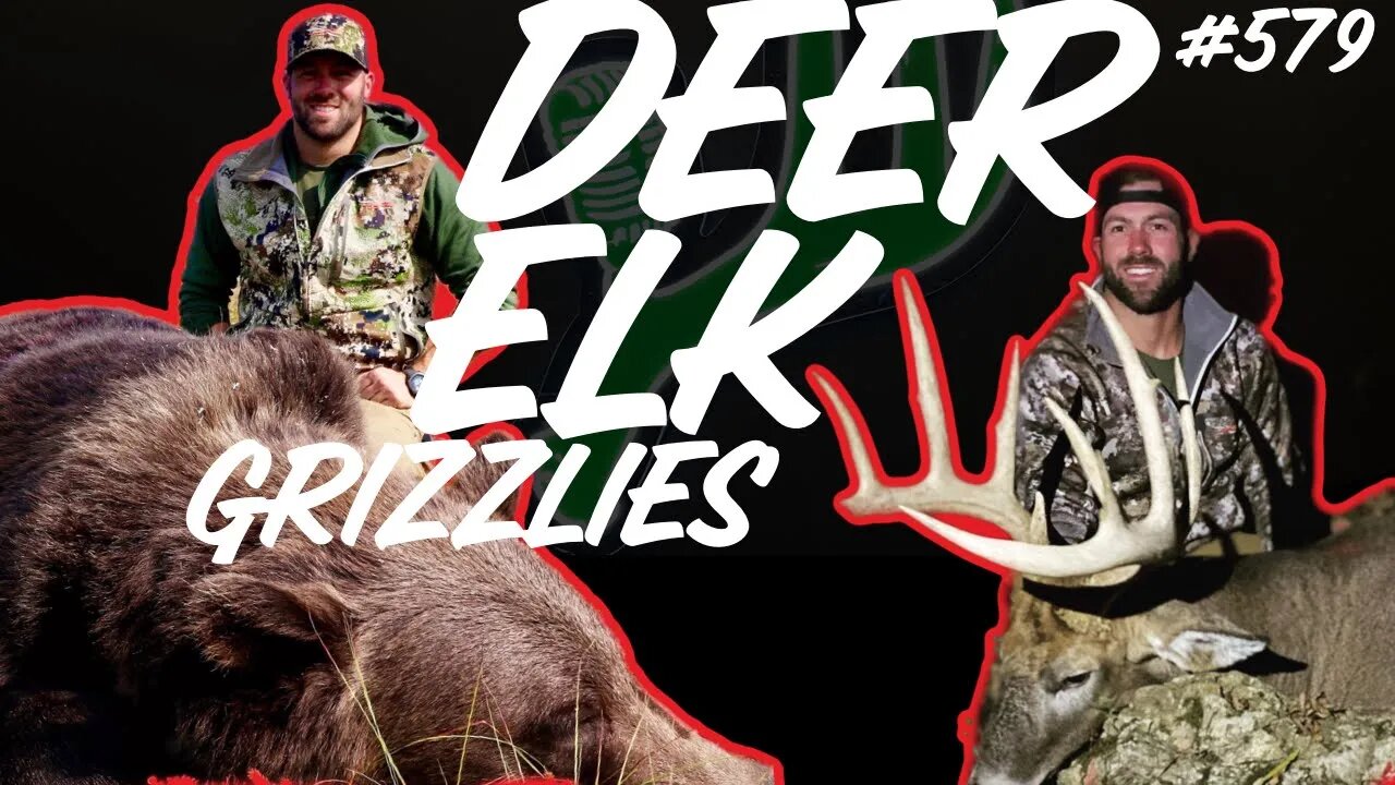 Deer Elk & Grizzlies!