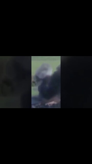 Breaking News (War-Related) #shorts