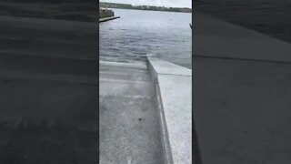 Steps down to the Ocean in Halifax