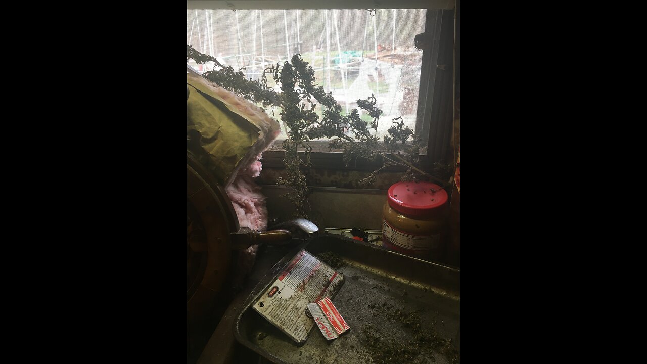 Derek Hunter Show happy 420 day you smell that?