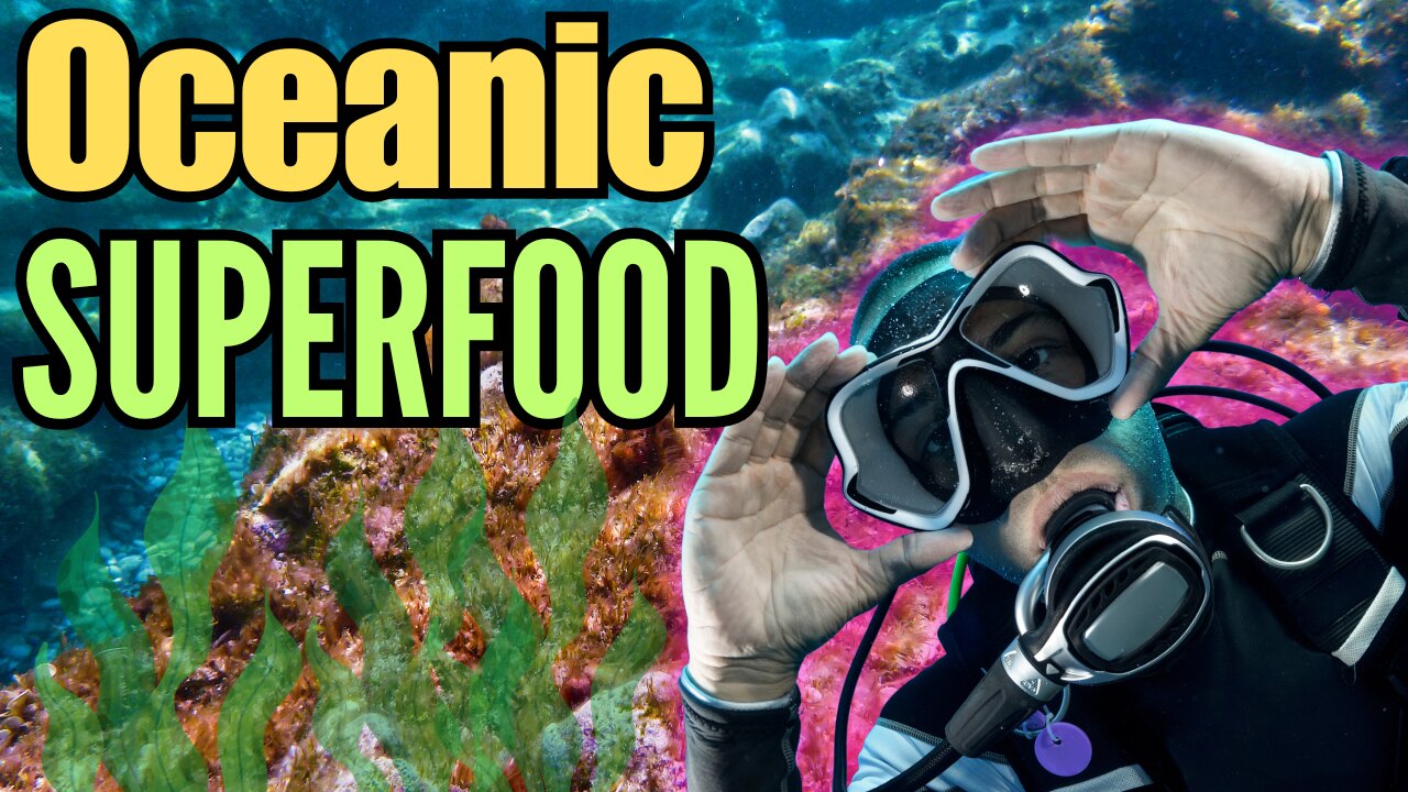 Seaweed's Powerful Health Impact⚠️MUST WATCH!