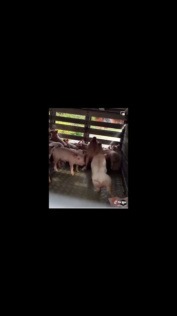 Un día cualquiera, en una calle cualquiera, en una ciudad cualquiera de Chile...