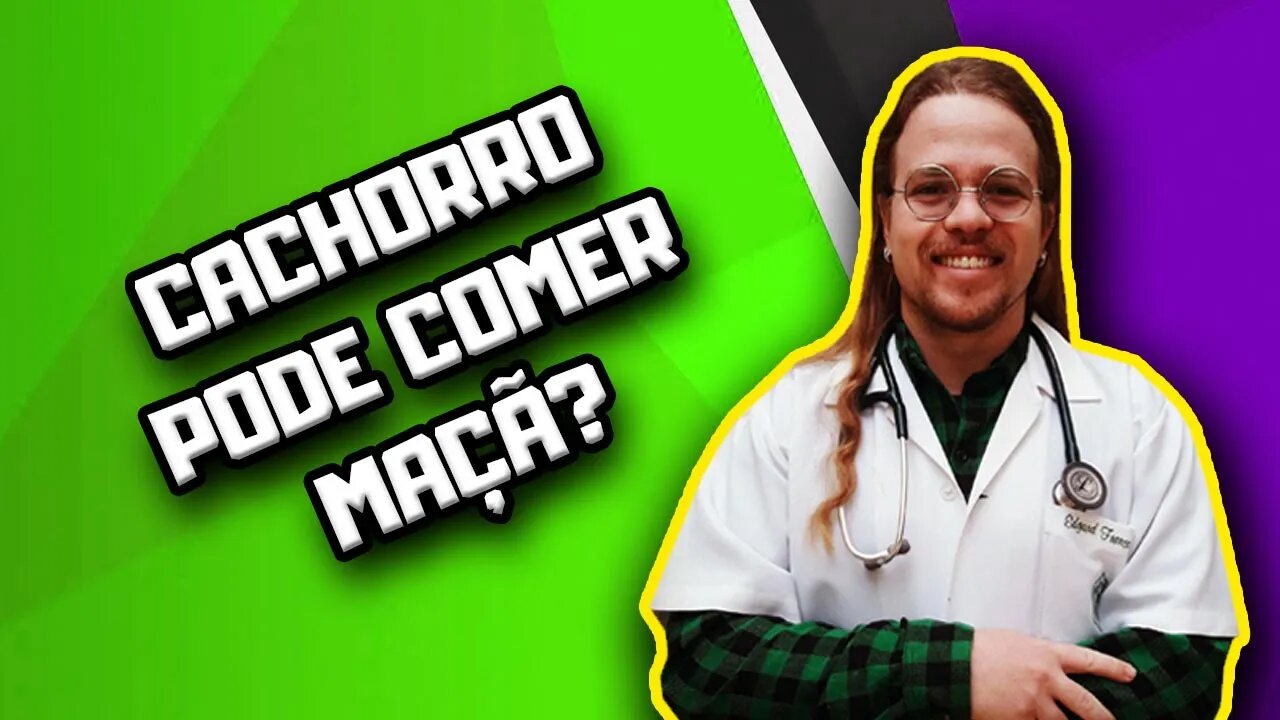 Cachorro pode comer maçã? #shorts