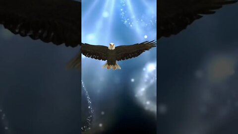 Ativação subliminal instantânea arquetipo Águia 🦅