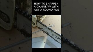 HOW TO SHARPEN A CHAINSAW #short