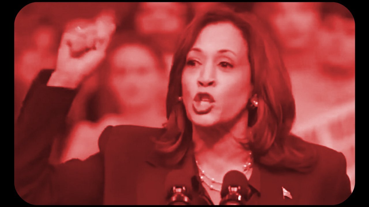 Kamala Harris says abortion restrictions are immoral - October 21, 2024