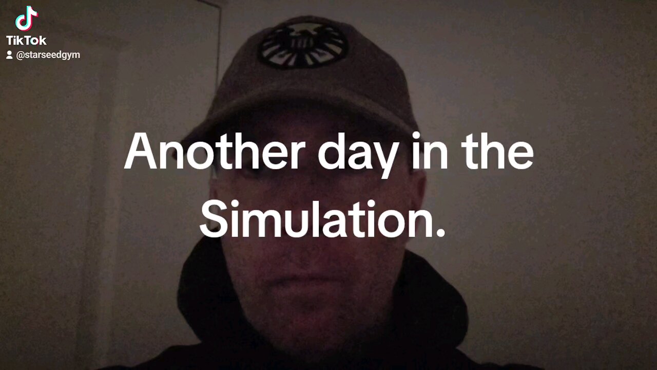 Another day in the Simulation.
