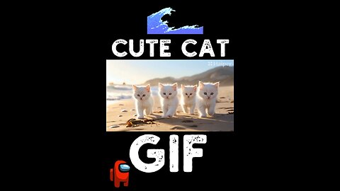 Cute Cat Gif