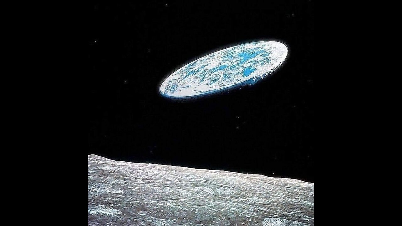 Racoons Saturday Night Live 16/09/23