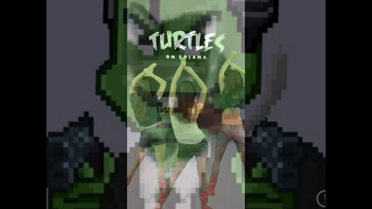 Quick turtle mashup