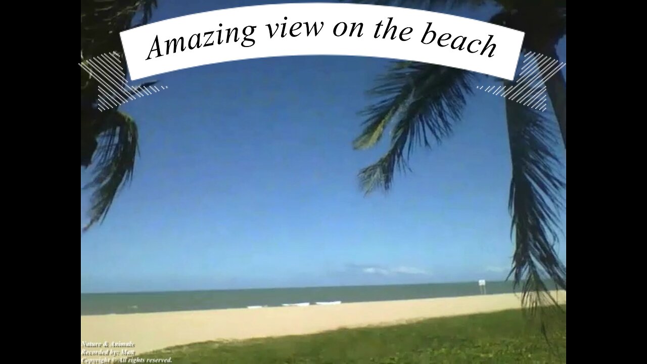 Amazing view on the beach from the side of 2 coconut trees [Nature & Animals]