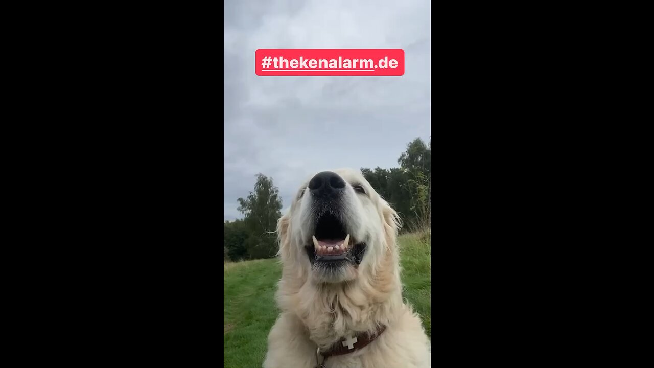 NICHT MEINE