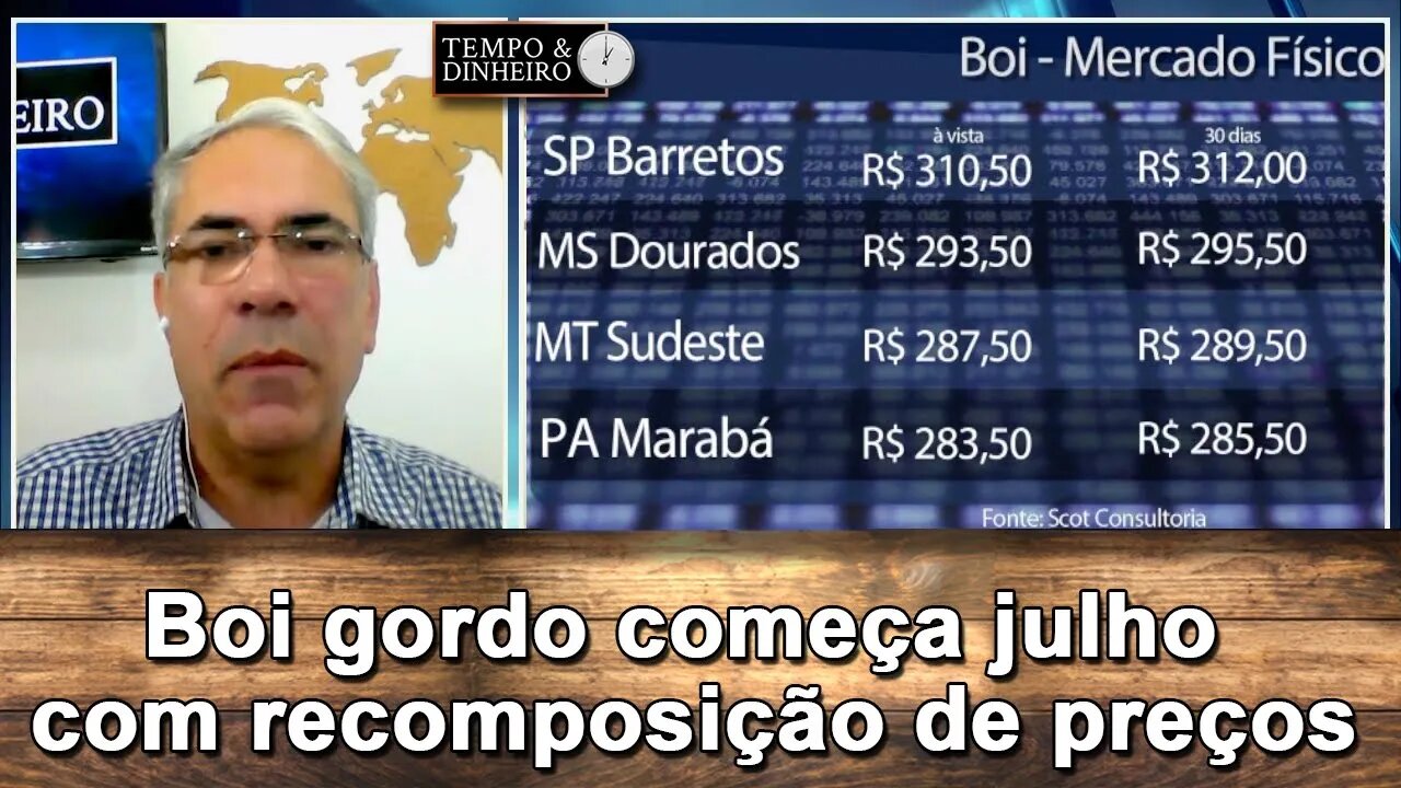 Boi gordo começa julho com recomposição de preços prevista para este semestre