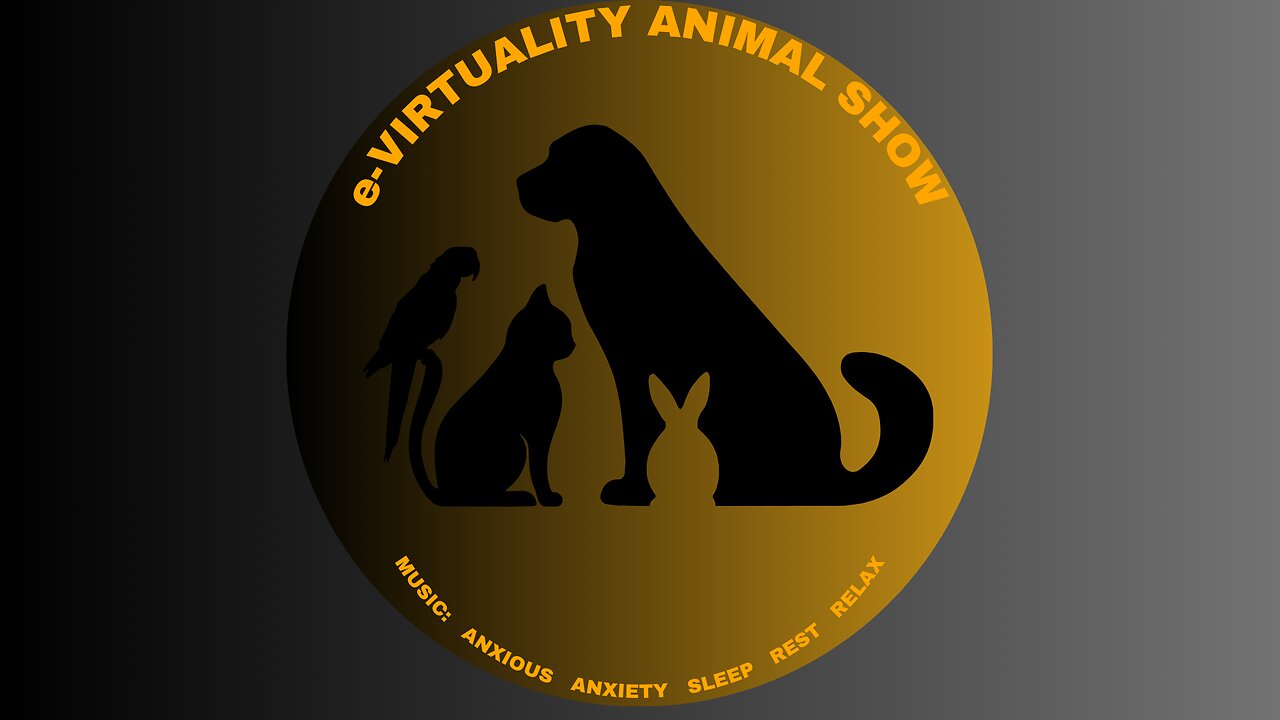 e-Virtuality Animal ASMR II