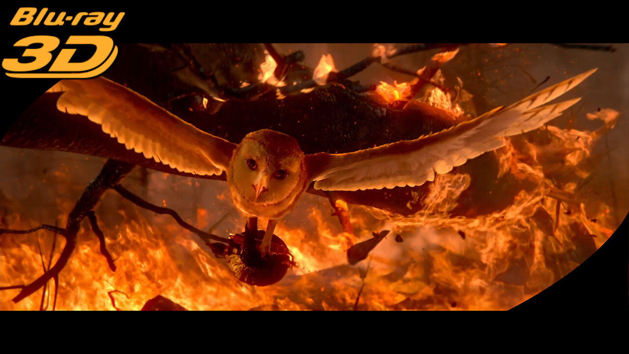 3D Review: Legend Of The Guardians The Owls Of Ga'Hoole (2010)