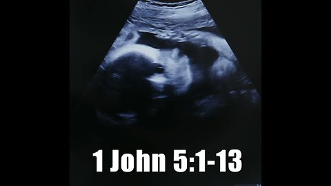 1 John 5:1-13