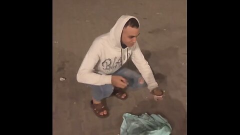 Starving Cats Go Crazy Over Food in Gaza