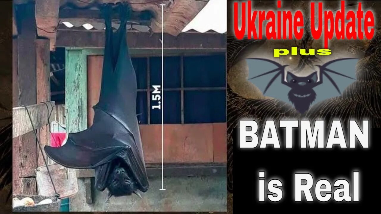 News Update: Ukraine and More; Kherson, Combat Footage, Crimea Beach life and Batman is Real.