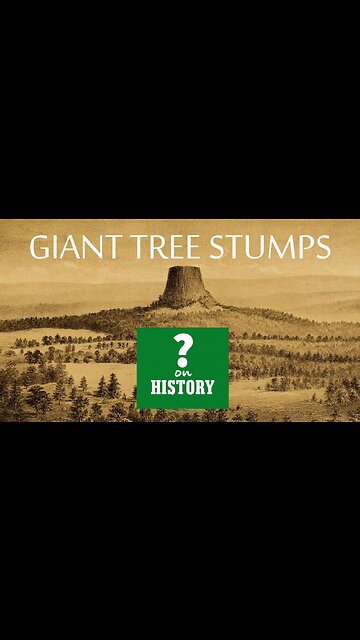 NO SUCH THING AS GIANT TREES !!!?
