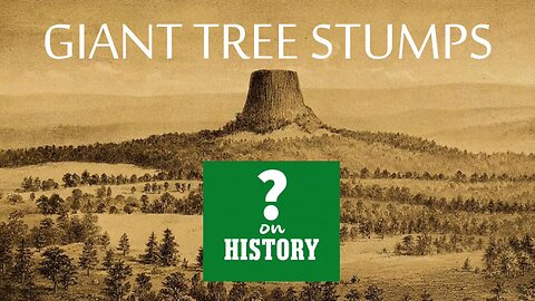 NO SUCH THING AS GIANT TREES !!!?