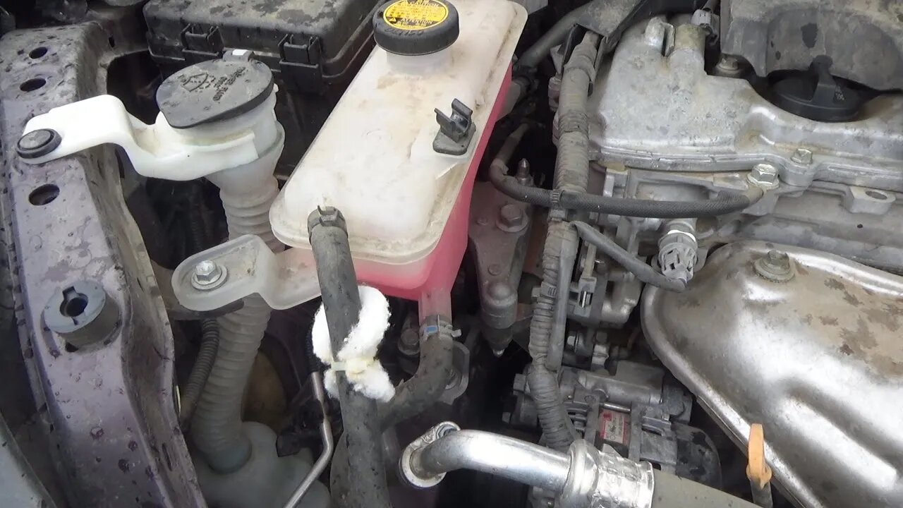 Will This Keep Rodents Out of My Engine Compartment?