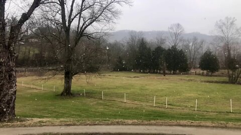 Snow falling on green pasture 💭