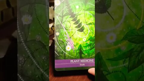 Oracle Messages - Plant Medicine - Truth #shortstarot #oraclereading